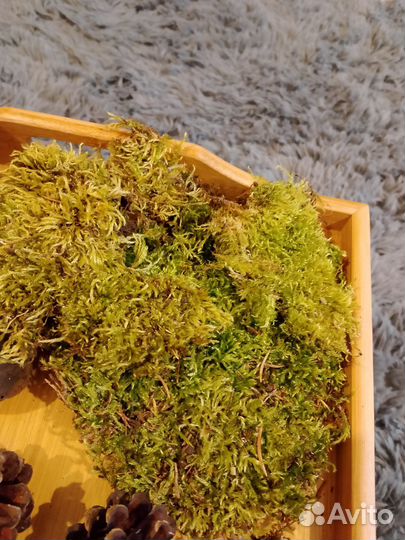 Набор для творчества 