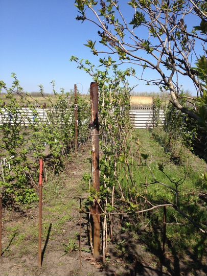 Дача 90 м² на участке 9 сот.