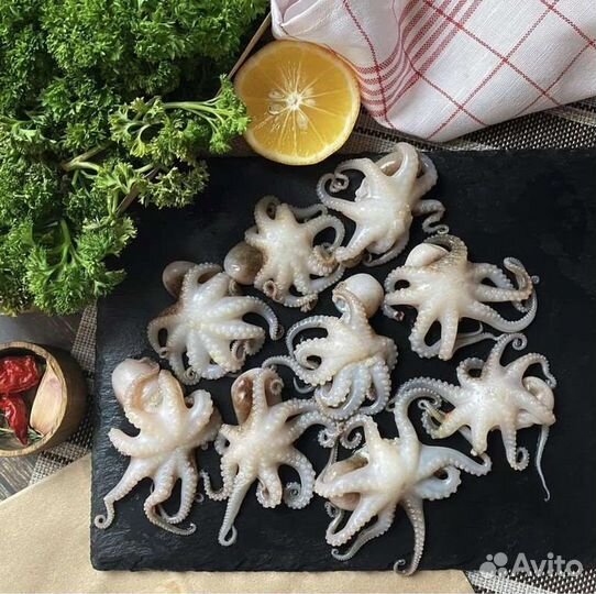 Осьминог морепродукты