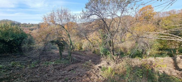 Участок 5,8 сот. (СНТ, ДНП)