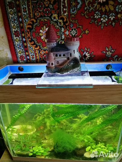 Керамические замки для аквариума и сачки