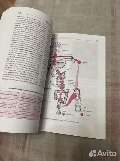 Основы семиотики внутренних органов