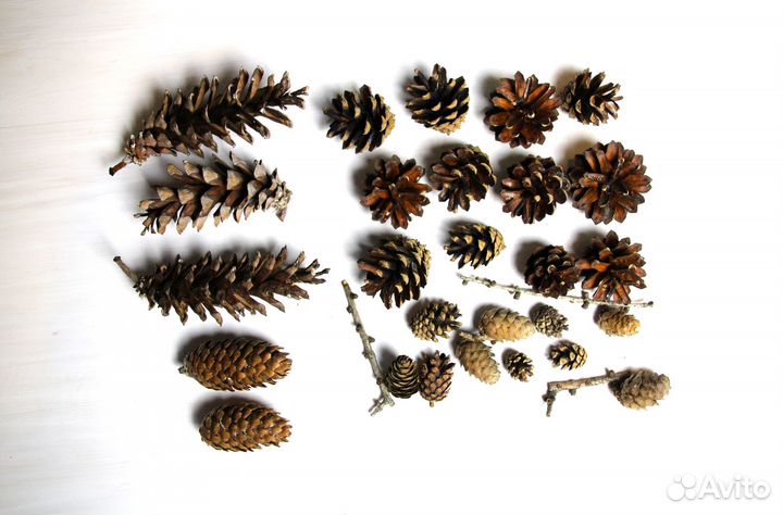 Набор шишек для декора рождественского венка