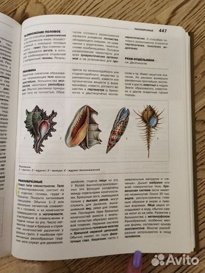 Энциклопедия Биология