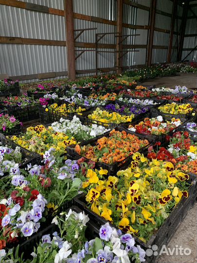 Разнорабочий