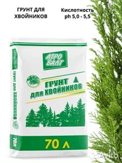 Субстрат, грунт