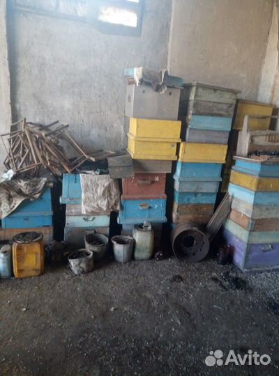 Пчелоинвентарь