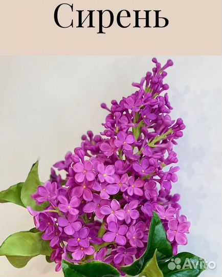 Сирень из полимерной глины, холодный фарфор, декор