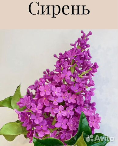 Сирень из полимерной глины, холодный фарфор, декор