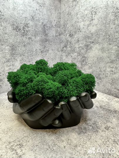 Кашпо руки со стабилизированным мхом