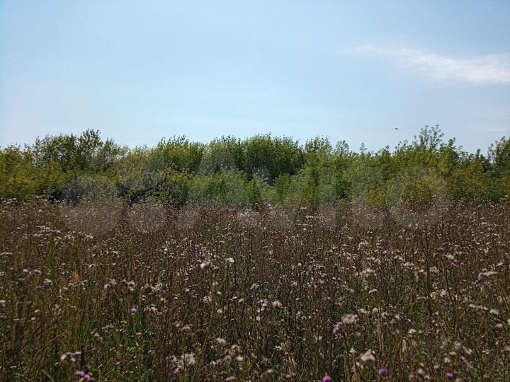 Участок 45 сот. (ИЖС)