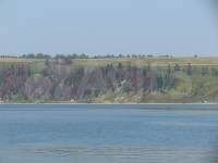 Участок 12 сот. (ИЖС)