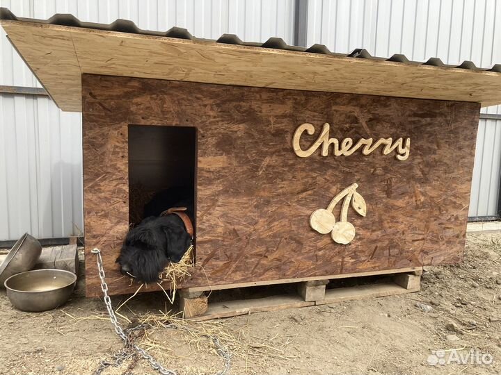 Собачья будка на заказ