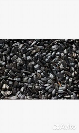 Семечки подсолнечника для птиц и грызунов 1 кг