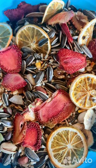 Корм для крупных попугаев, лучше чем Versele Laga