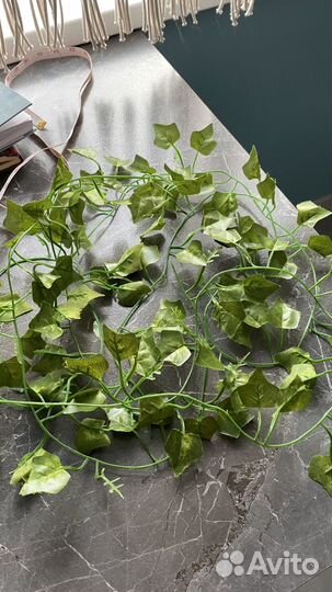 Вьюн искусственный