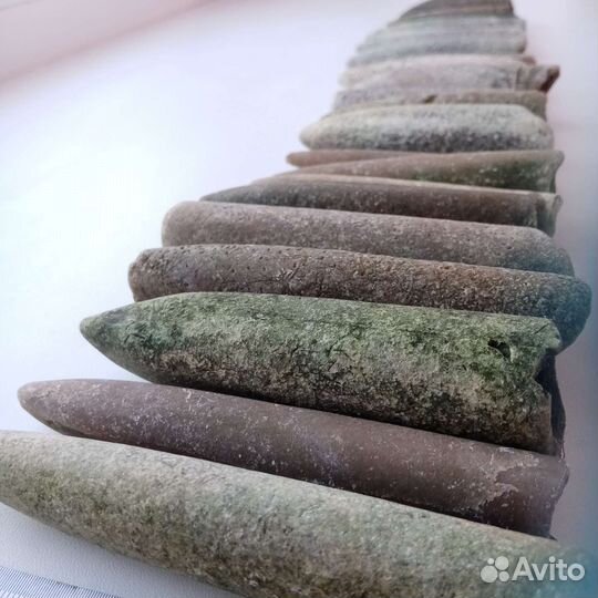 Окаменелости белемниты