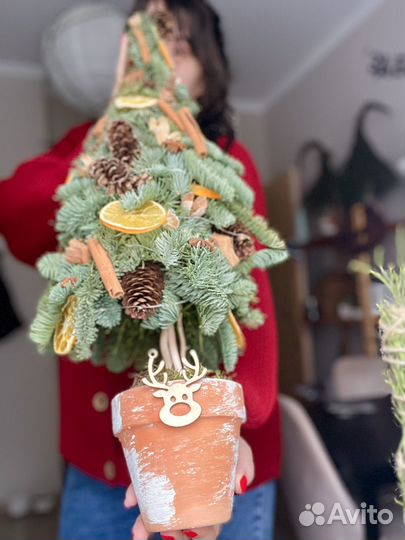 Флористическая елка из нобилиса