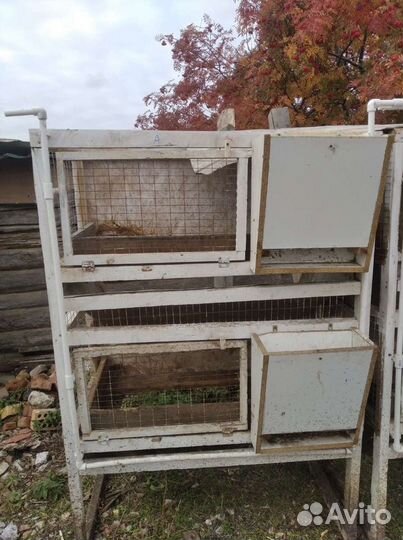 Клетки для кроликов бу
