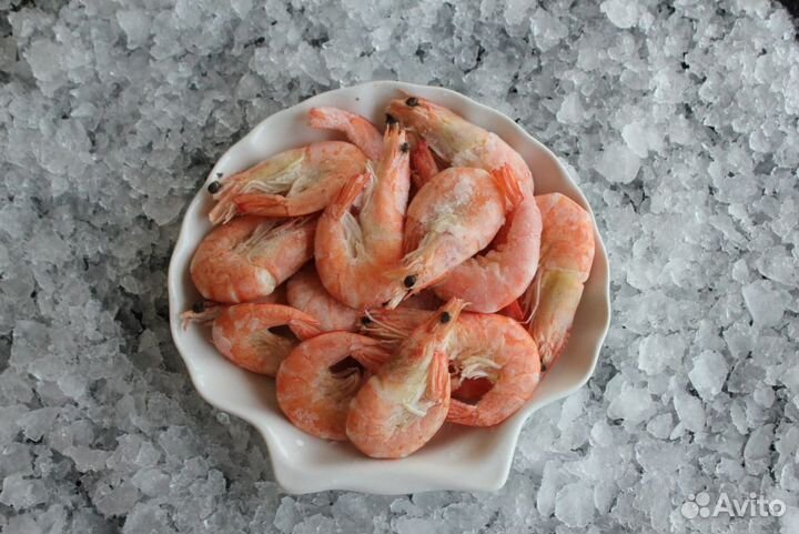 Готовый рыбный магазин с клиентской базой