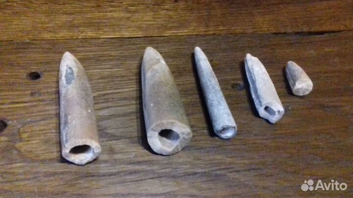 Белемниты(чертов палец.зуб дракона)