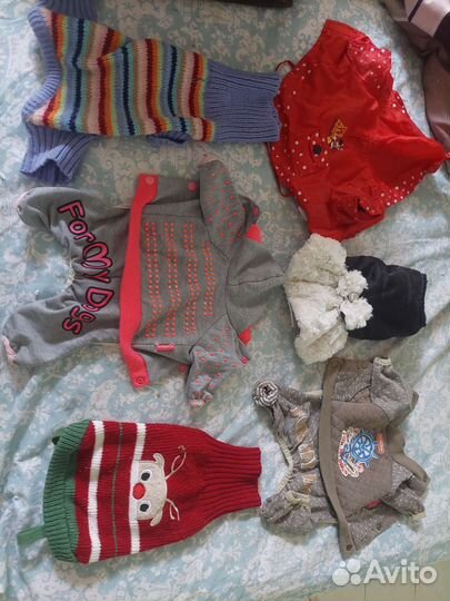 Одежда для мини собаки