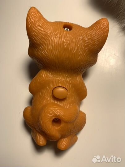 Коты - символ года