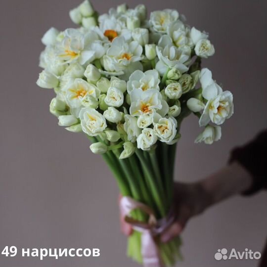 Букет нарциссов с беспл. доставкой