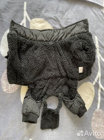 Одежда для собак