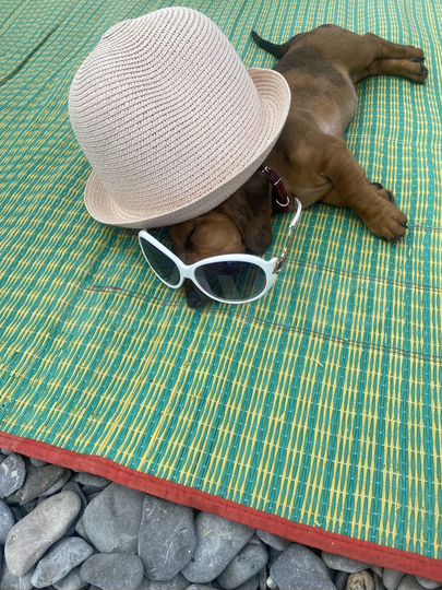 Коттедж 300 м² на участке 8 сот.