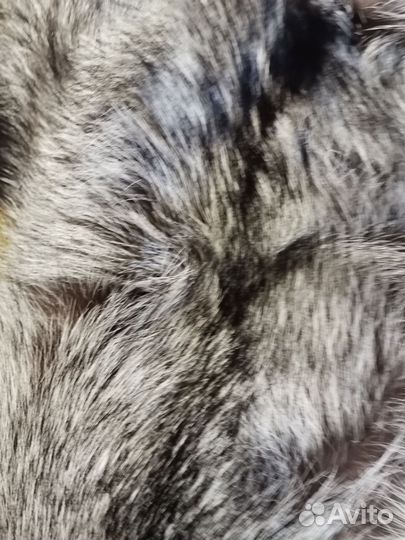 Шкура чернобурка цельная