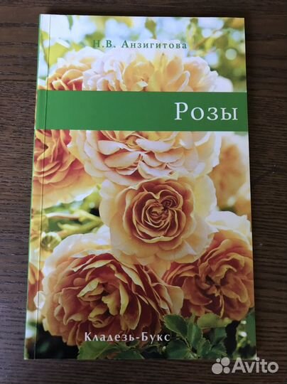 Розы. Анзигитова