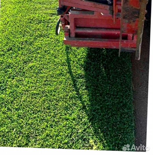 Газон. Рулонный газон