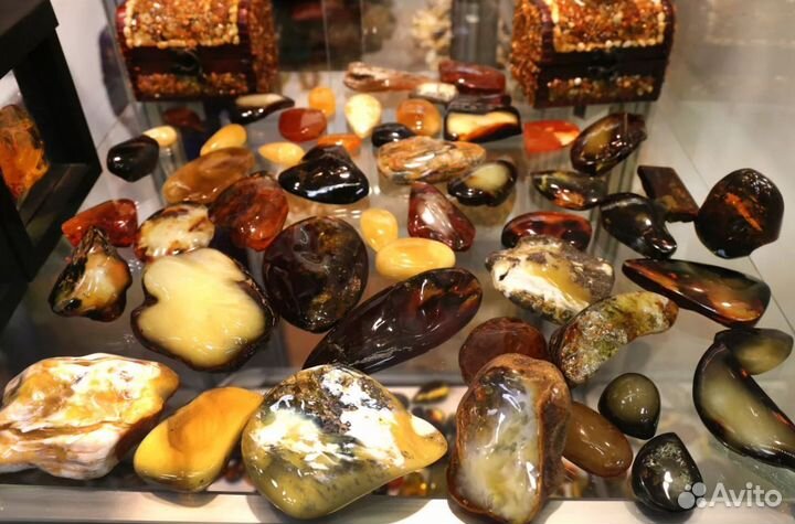 VIP-тур в Kaliningrad 7 дней