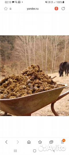 Конский навоз