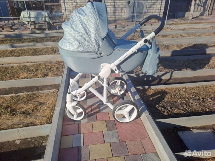 Коляска Adamex luciano 2 в 1