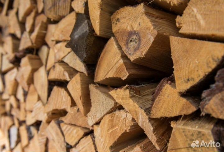 Дрова осина