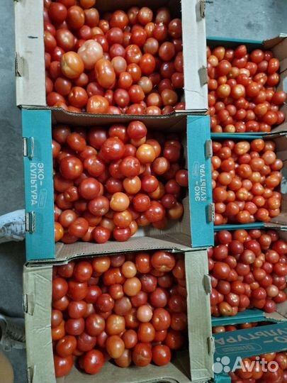 Томат в ассортименте