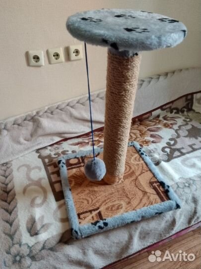 Когтеточка