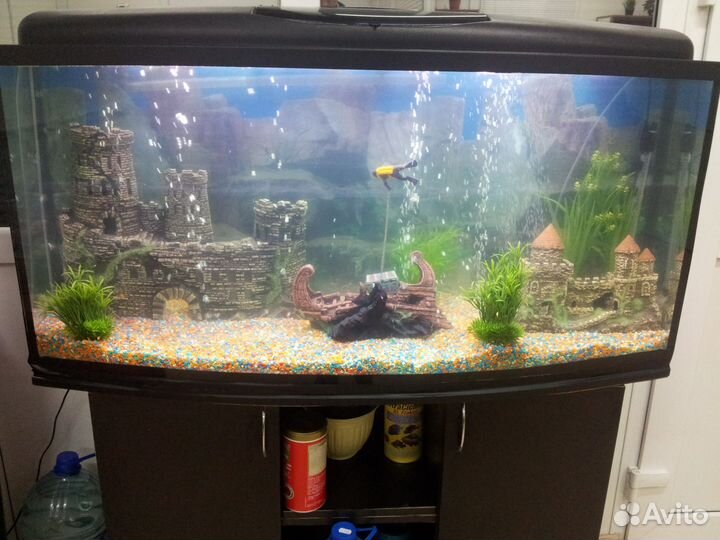 Обслуживание(чистка) аквариумов, установка, переус