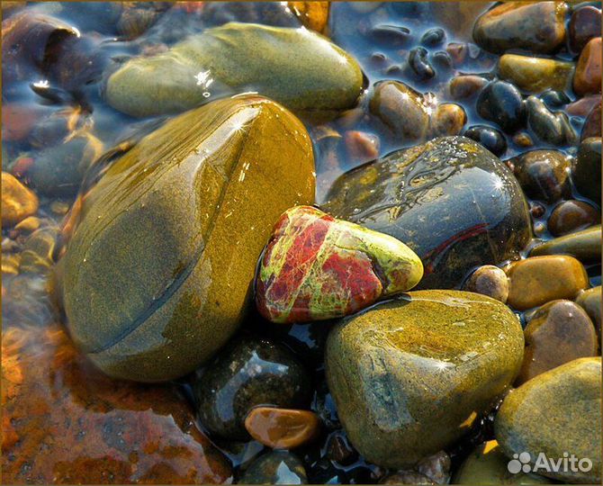 Морская вода, галька, ракушки, морские камни