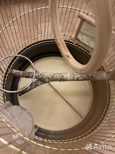 Клетка Ferplast regina для птиц. Цвет: золото