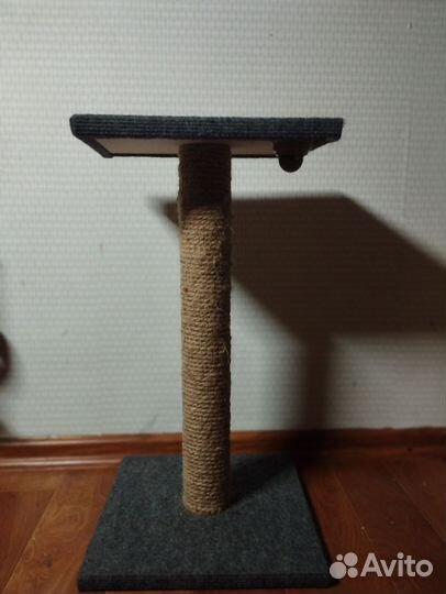 Когтеточка для котят