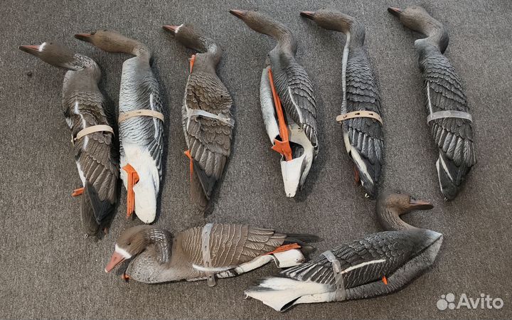 Чучела гусей гуменник