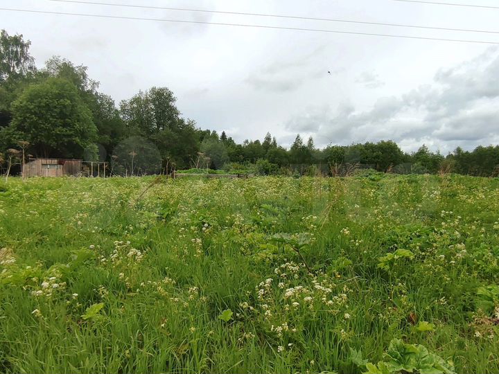 Участок 25 сот. (ИЖС)