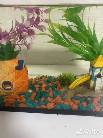 Аквариум,украшение для аквариума, рыбка