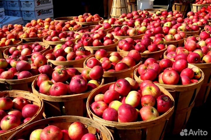 Сборщик вахта