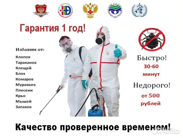 Дезинфекция