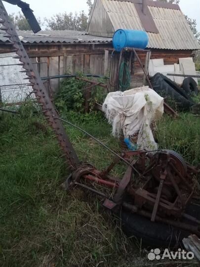 Сенокоска сегментная