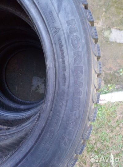 Nordman 5 195/55 R16